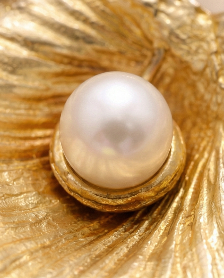 מחרוזת זהב צדף