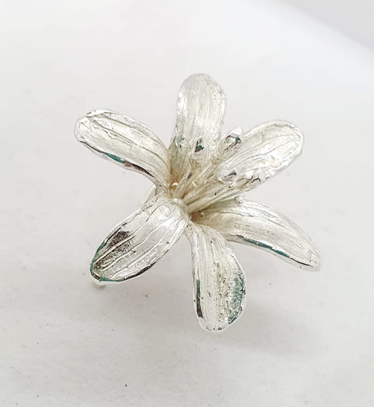 טבעת פרח כסף - חלמונית